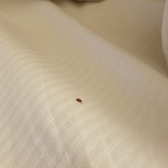 Hampton Inn Parsippany - Hotels Near Me - Parsippany, New Jersey Hampton Inn Parsippany - Hotels Near Me - Parsippany, New Jersey