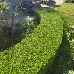 Alvarez Landscaping