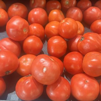 Smart & Final Extra! - Tomatoes with mold - Grocery Near Me - Winnetka, California Smart & Final Extra! - Tomatoes with mold - Grocery Near Me - Winnetka, California