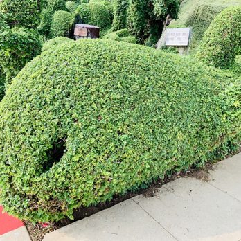Harper's Topiary Garden - This must be a whale of a hedge to trim! - Botanical Gardens Near Me - San Diego, California Harper's Topiary Garden - This must be a whale of a hedge to trim! - Botanical Gardens Near Me - San Diego, California