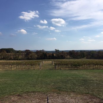 Weingarten Vineyard - The vineyard. - Venues & Event Spaces Near Me - Ste. Genevieve, Missouri