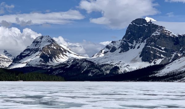 Bow Lake by null