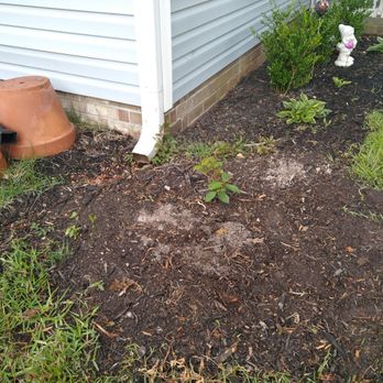 Mastercare Tree Service - a dirt bed in front of a house - Tree Services Near Me - Myrtle Beach, South Carolina Mastercare Tree Service - a dirt bed in front of a house - Tree Services Near Me - Myrtle Beach, South Carolina