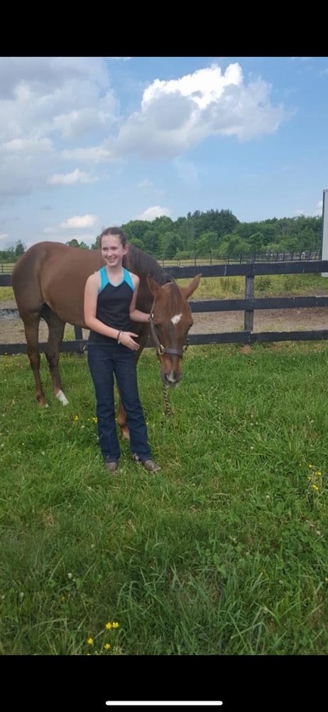 Circle B Stables - equestrian in Spencer, OH