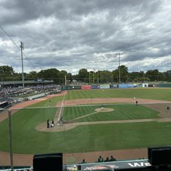 Great Lakes Loons - View from Suite 9
