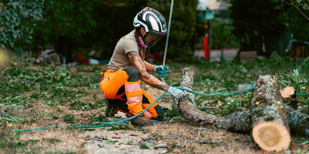 Tree Dogs - tree service in Portland, OR