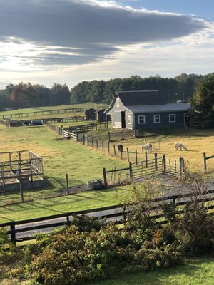 Cider House Bed and Breakfast by null