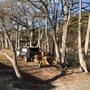 Photo of New Heights Tree Service