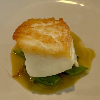 Blackbird Kitchen And Cocktails - Nova Scotia Halibut with sugar snap pea, ginger and green curry. - Tapas/Small Plates Near Me - Wantagh, New York Blackbird Kitchen And Cocktails - Nova Scotia Halibut with sugar snap pea, ginger and green curry. - Tapas/Small Plates Near Me - Wantagh, New York
