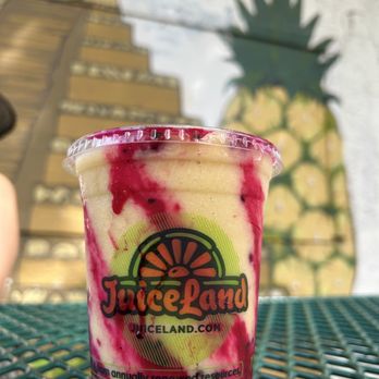 JuiceLand - Wild Child "swirled" - Juice Bars & Smoothies Near Me - Austin, Texas JuiceLand - Wild Child "swirled" - Juice Bars & Smoothies Near Me - Austin, Texas
