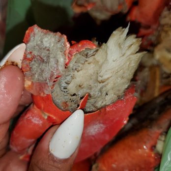 Castillo Seafood - Disgusting - Specialty Food Near Me - Brooklyn, New York