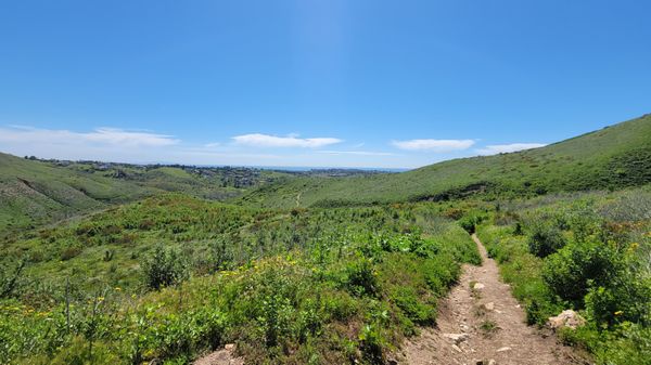 Zuma Canyon Trail by null