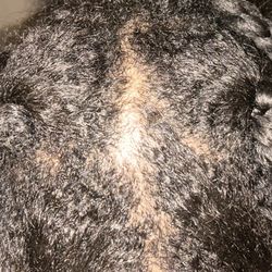 Hair Flair Beauty Salon - Hair