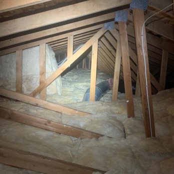 Attic Crew - Attic - Pest Control Near Me - Renton, Washington Attic Crew - Attic - Pest Control Near Me - Renton, Washington