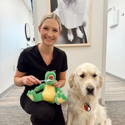 Neighborhood Dental - Dr. Ashton Fjeldheim and our therapy dog, Tenner are here to welcome you to our dental office in Sioux Falls, SD!