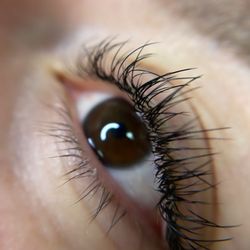 Guilty Pleazure Beauty Bar - Classiclashes