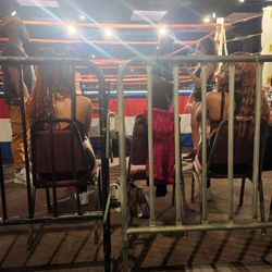 Ambassador - Boxing Ring