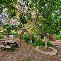Niles Rose Garden - Garden/seating