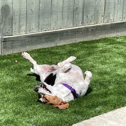 Turf Happy! Turf Happy!