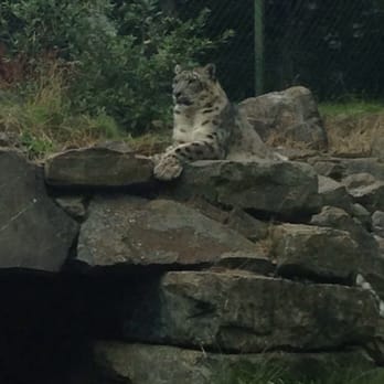 Dublin Zoo - Zoos Near Me - Dublin, D Dublin Zoo - Zoos Near Me - Dublin, D