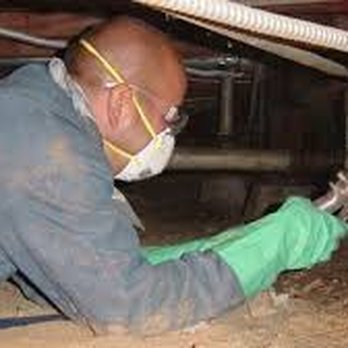 Maxwell Pest Management - Pest Control Near Me - Plantation, Florida