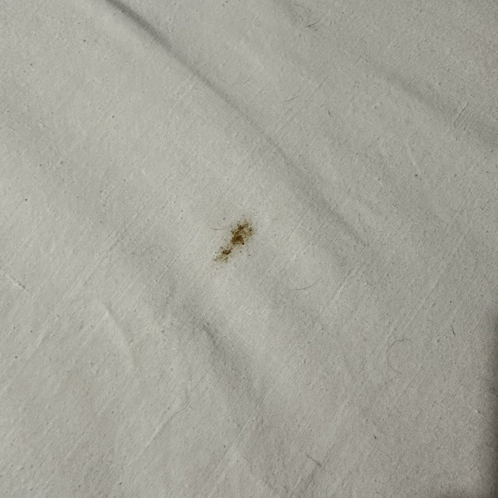 SHIT STAIN as I check in. SHIT STAIN as I check in.