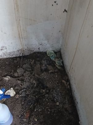 Merchant's Cafe and Saloon by null Merchant's Cafe and Saloon by null