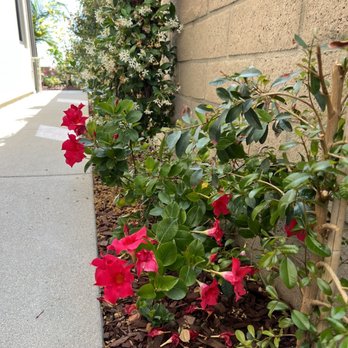 Aquagreen Pool & Landscapes - Pool & Hot Tub Service Near Me
