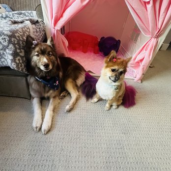 Dogs Etc - Pet Groomers Near Me - Newhall, California Dogs Etc - Pet Groomers Near Me - Newhall, California