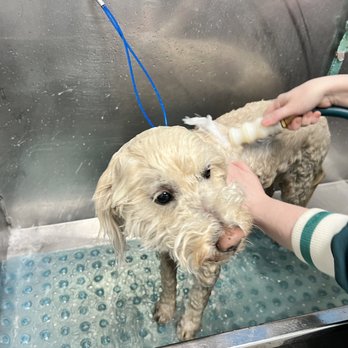 Pet Station - Pet Stores Near Me - Denver, Colorado Pet Station - Pet Stores Near Me - Denver, Colorado