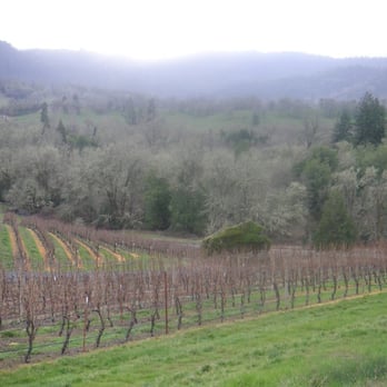 Abacela - Beautiful vineyard vista - Wineries Near Me - Roseburg, Oregon