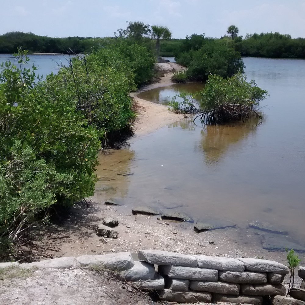 Oldsmar Trail - Dead end section of trail near Bicentennial Park - Hiking Near Me Oldsmar Trail - Dead end section of trail near Bicentennial Park - Hiking Near Me