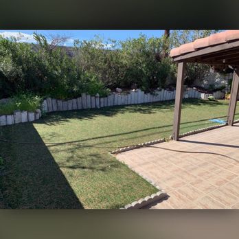 Royal Tree Service - Pine needles, dead leaves and weeds - Tree Services Near Me Royal Tree Service - Pine needles, dead leaves and weeds - Tree Services Near Me