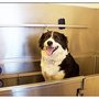Photo of Your Pals Pet Hospital