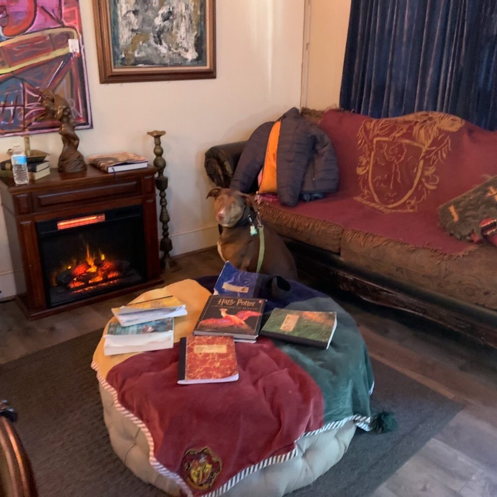 Muggles Mug - Gus hanging out. - Coffee & Tea Near Me - Jim Thorpe, Pennsylvania