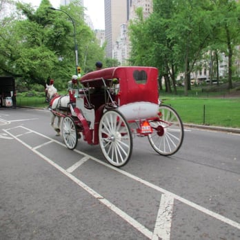 Central Park Conservancy - handsome cab - Parks Near Me - New York, New York