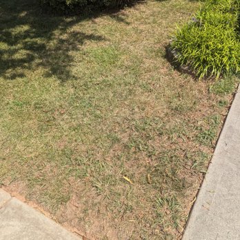 TruGreen Lawn Care - Tree Services Near Me - Charlotte, North Carolina TruGreen Lawn Care - Tree Services Near Me - Charlotte, North Carolina