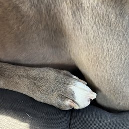 Nail trim Nail trim