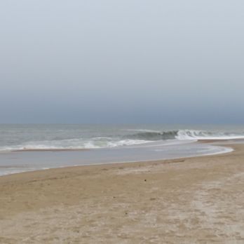 Fenwick Island State Park - Parks Near Me - Fenwick Island, Delaware Fenwick Island State Park - Parks Near Me - Fenwick Island, Delaware