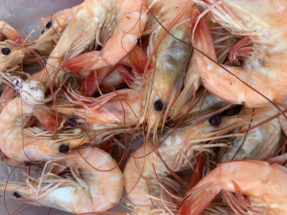 FISHERMAN’S BAIT & SEAFOOD MARKET 40 Photos & 16 Reviews 1101