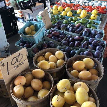 Rochester Public Market - Public Markets Near Me - Rochester, New York Rochester Public Market - Public Markets Near Me - Rochester, New York