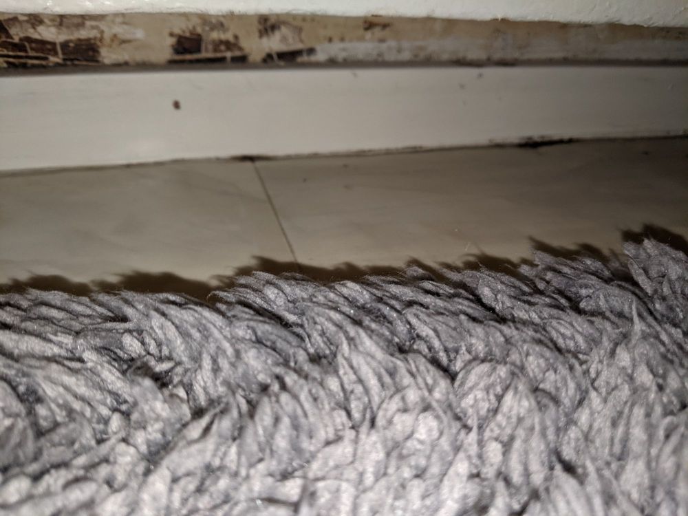 DryAgain Water, Mold and Fire Damage Restoration Services - mold inspector in Running Springs, CA