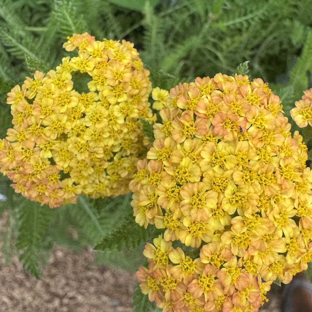 The Garden Gallery - Florists Near Me - Omaha, Nebraska