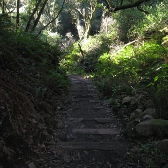 Dipsea - Hiking Near Me