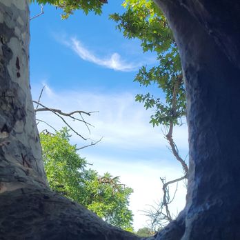Sycamore Grove Park - Parks Near Me - Livermore, California
