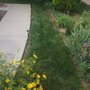 Photo of Gutierrez Landscaping & Lawn Maintenance
