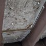Photo of Elite Roofing