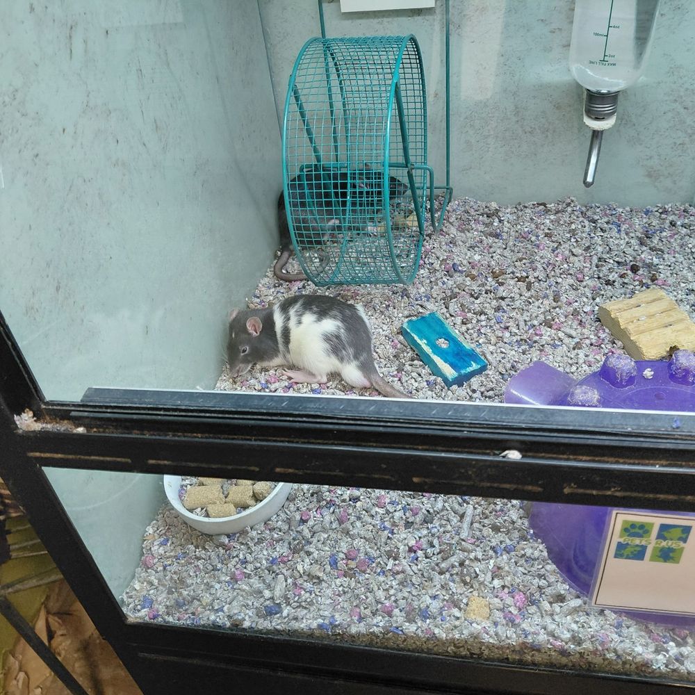 Pets-R-US - Pet Stores Near Me - Omaha, Nebraska Pets-R-US - Pet Stores Near Me - Omaha, Nebraska