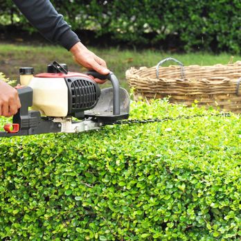 Steel Roots Tree Services - Tree Services Near Me Steel Roots Tree Services - Tree Services Near Me