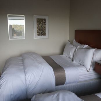 The Westin Calgary - Standard room with two beds. - Hotels Near Me - Calgary, Alberta